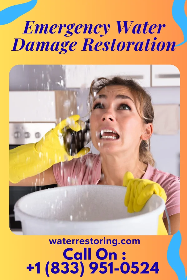 Emergency Water Damage Restoration in Creedmoor, NC
