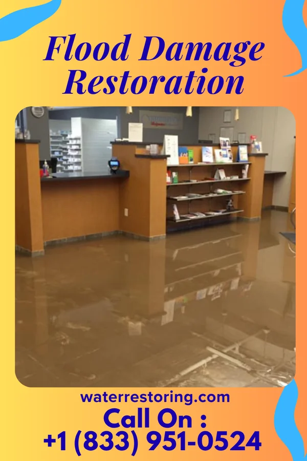 Flood Damage Restoration in Creedmoor, NC