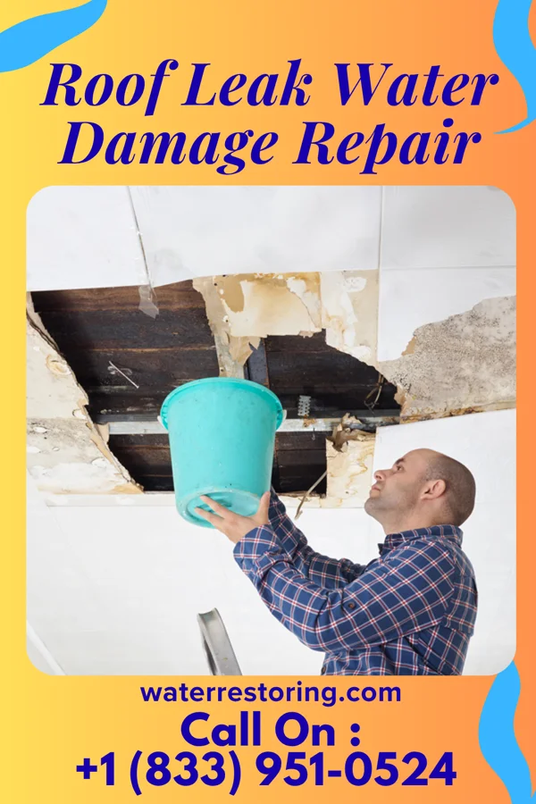Roof Leak Water Damage Repair in Creedmoor, NC